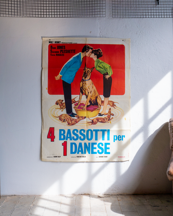 Manifesto 4 Bassotti E Danese