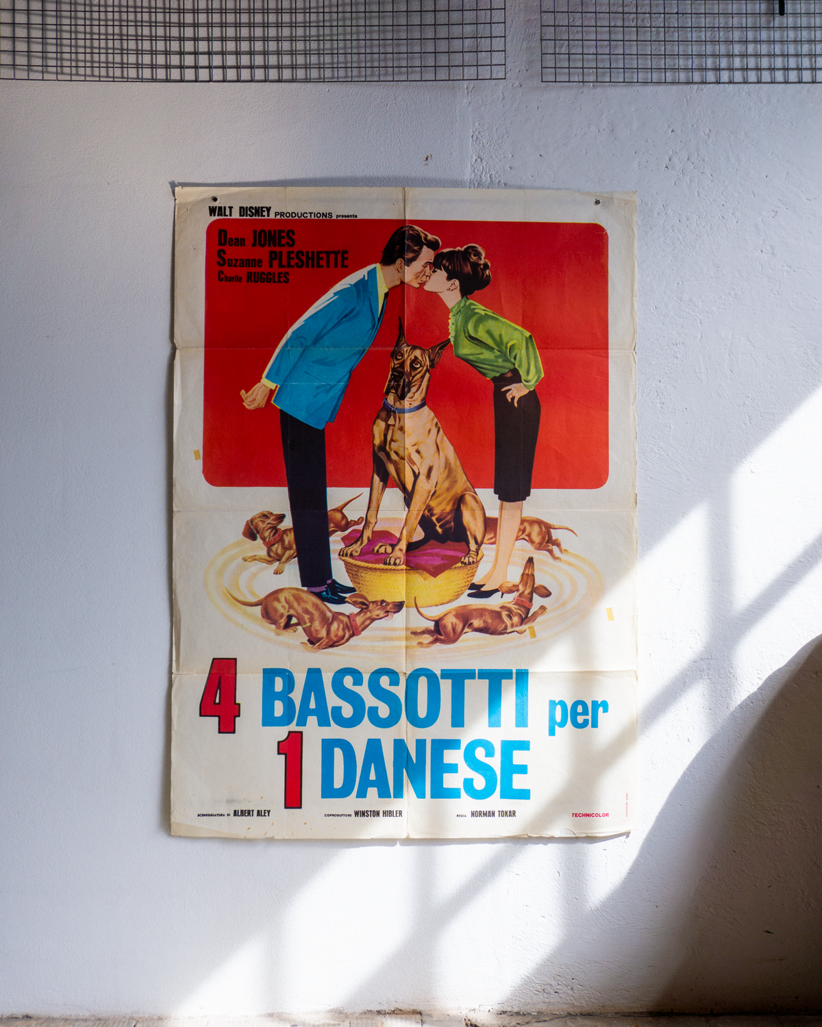 Manifesto 4 Bassotti E Danese