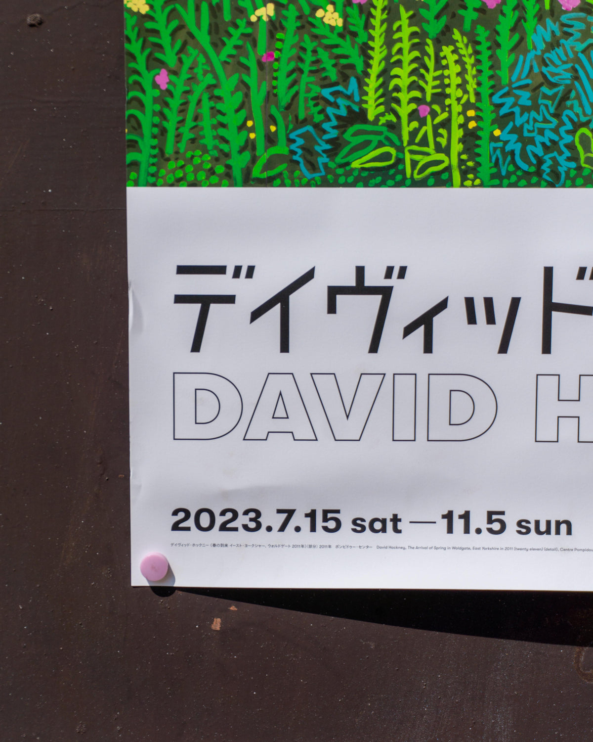 David Hockney – The Arrival of Spring in Woldgate, East Yorkshire in 2011 – Manifesto originale mostra Tokyo 2023