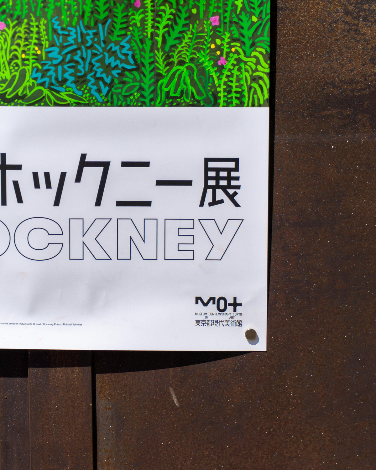 David Hockney – The Arrival of Spring in Woldgate, East Yorkshire in 2011 – Manifesto originale mostra Tokyo 2023