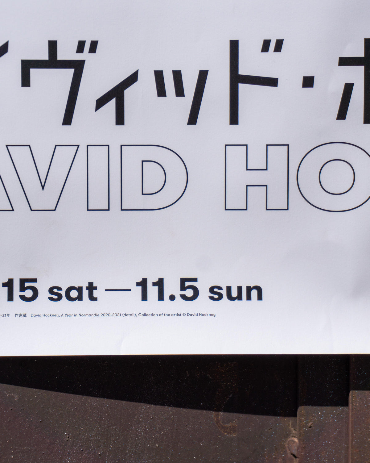 David Hockney – A Year in Normandie 2020–2021 – Manifesto originale mostra Tokyo 2023