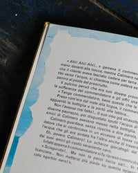 Le avventure di Calimero pulcino nero – Volume 5 – Nino e Toni Pagot