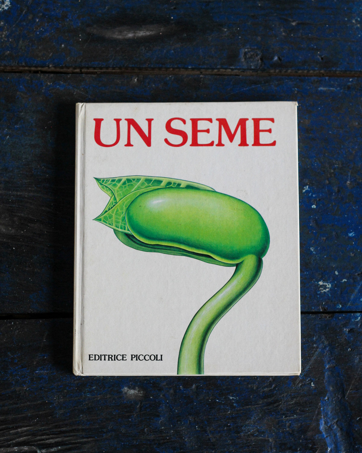 Libro vintage Un seme – Editrice Piccoli