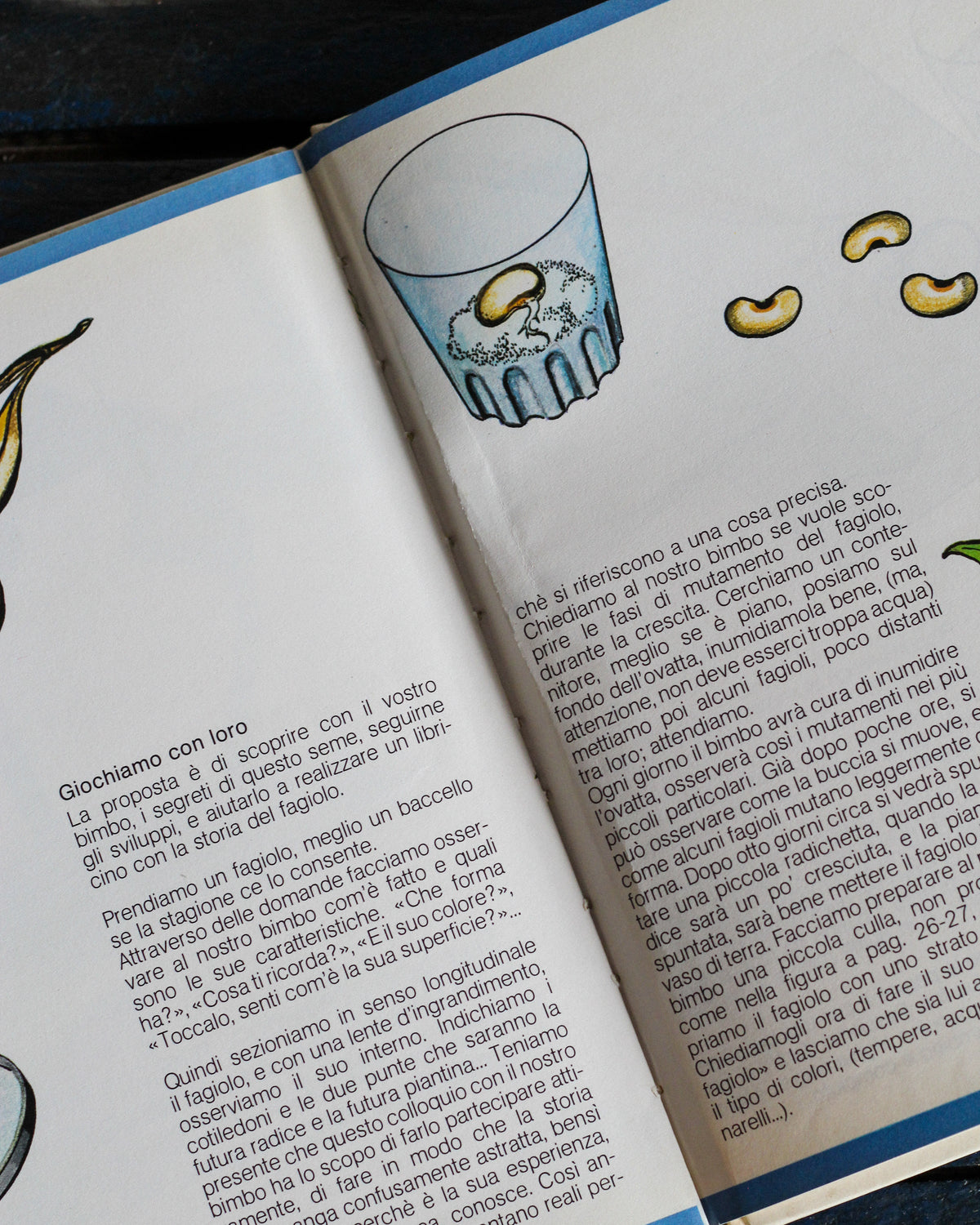 Libro vintage Un seme – Editrice Piccoli