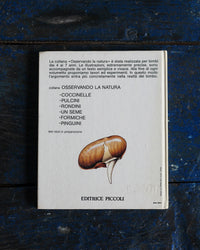 Libro vintage Un seme – Editrice Piccoli