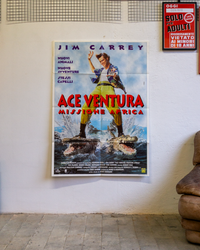 Manifesto Ace Ventura Africa