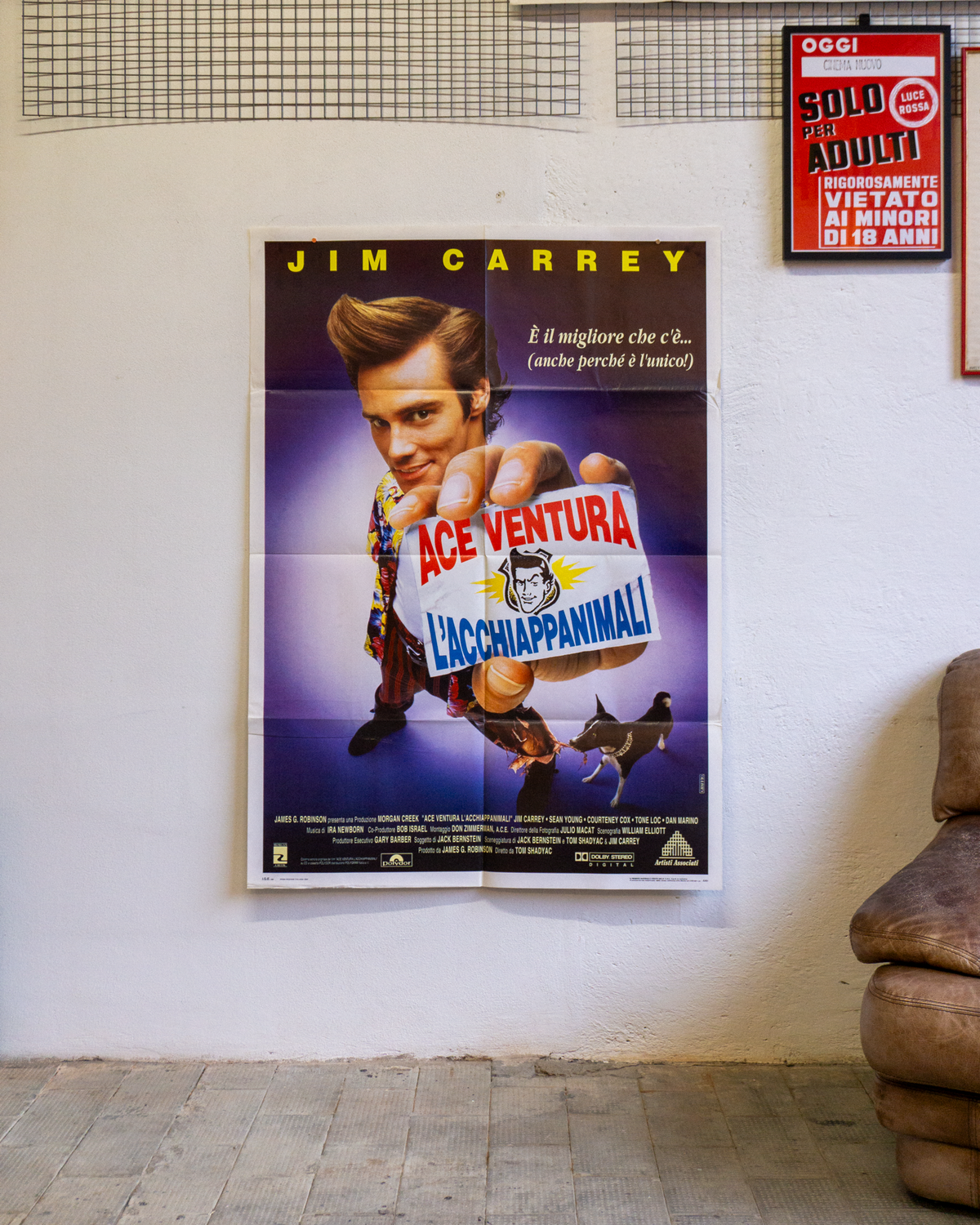 Manifesto Ace Ventura