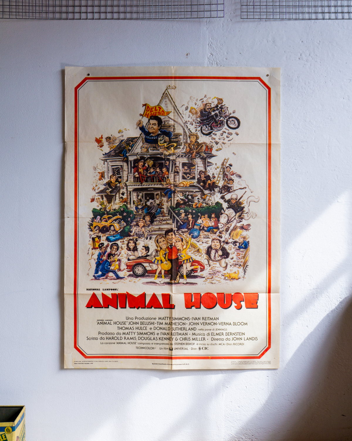 Manifesto Animal House