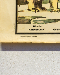 Manifesto Animali Selvaggi