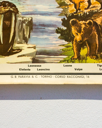 Manifesto Animali Selvaggi