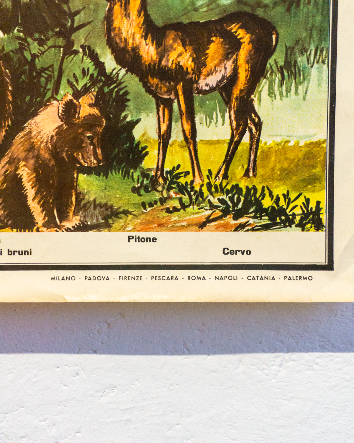 Manifesto Animali Selvaggi