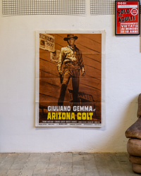 Manifesto Arizona Colt