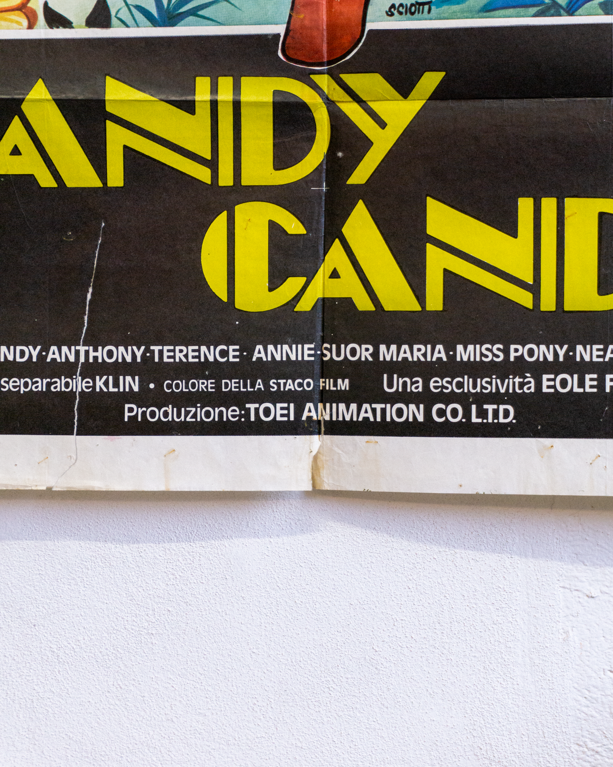 Manifesto Candy Candy