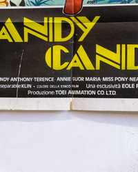 Manifesto Candy Candy