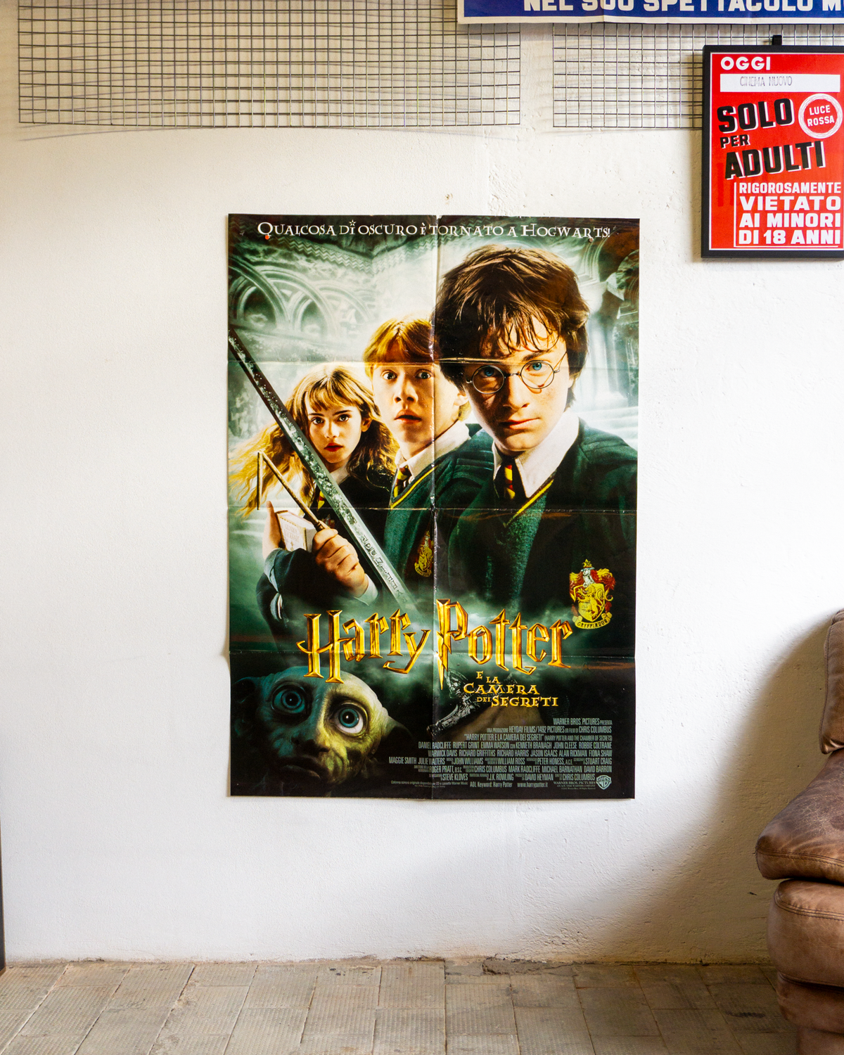 Manifesto Harry Potter - la camera dei segreti