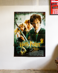 Manifesto Harry Potter - la camera dei segreti