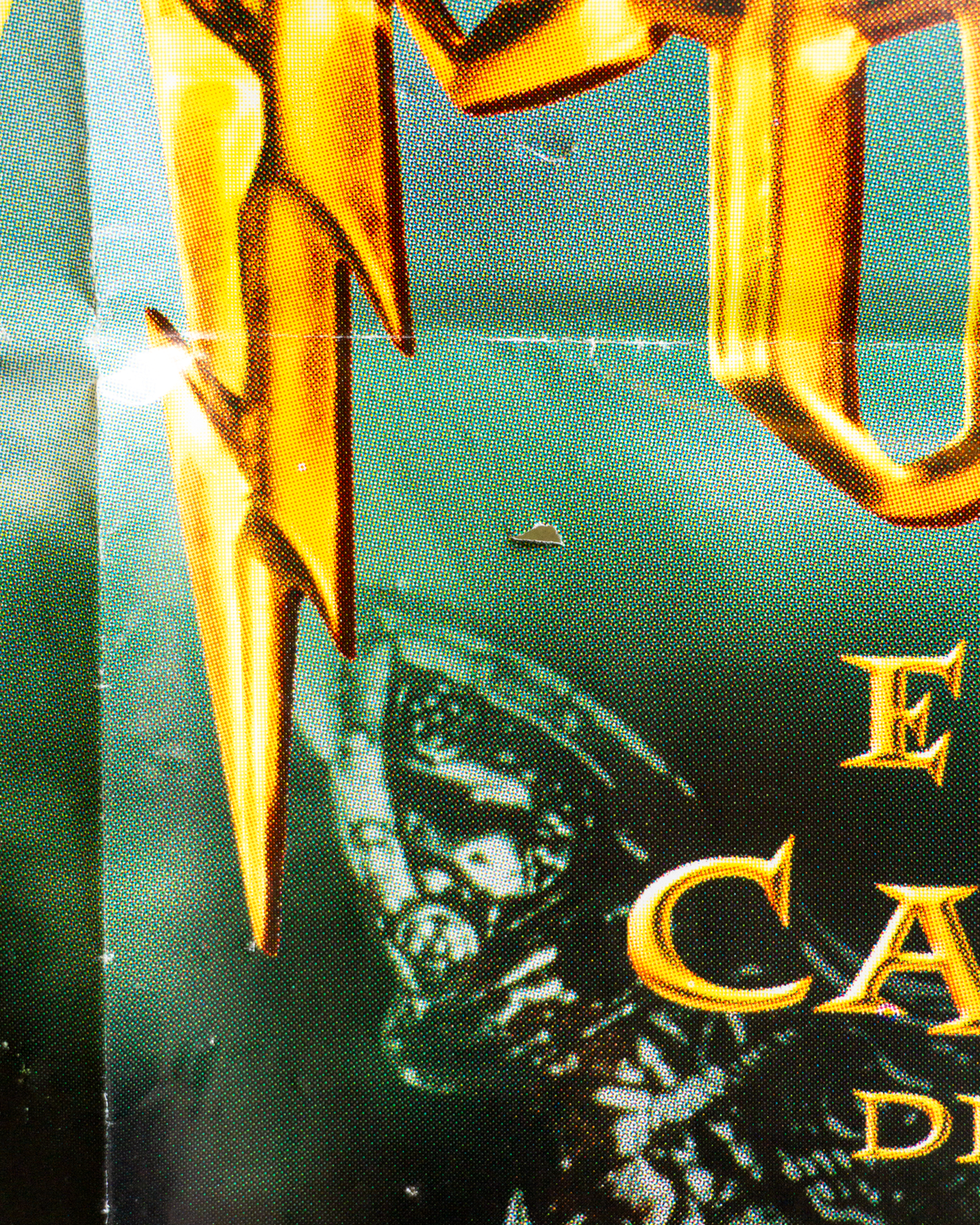 Manifesto Harry Potter - la camera dei segreti