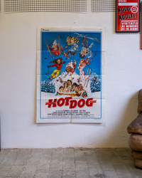 Manifesto Hot Dog