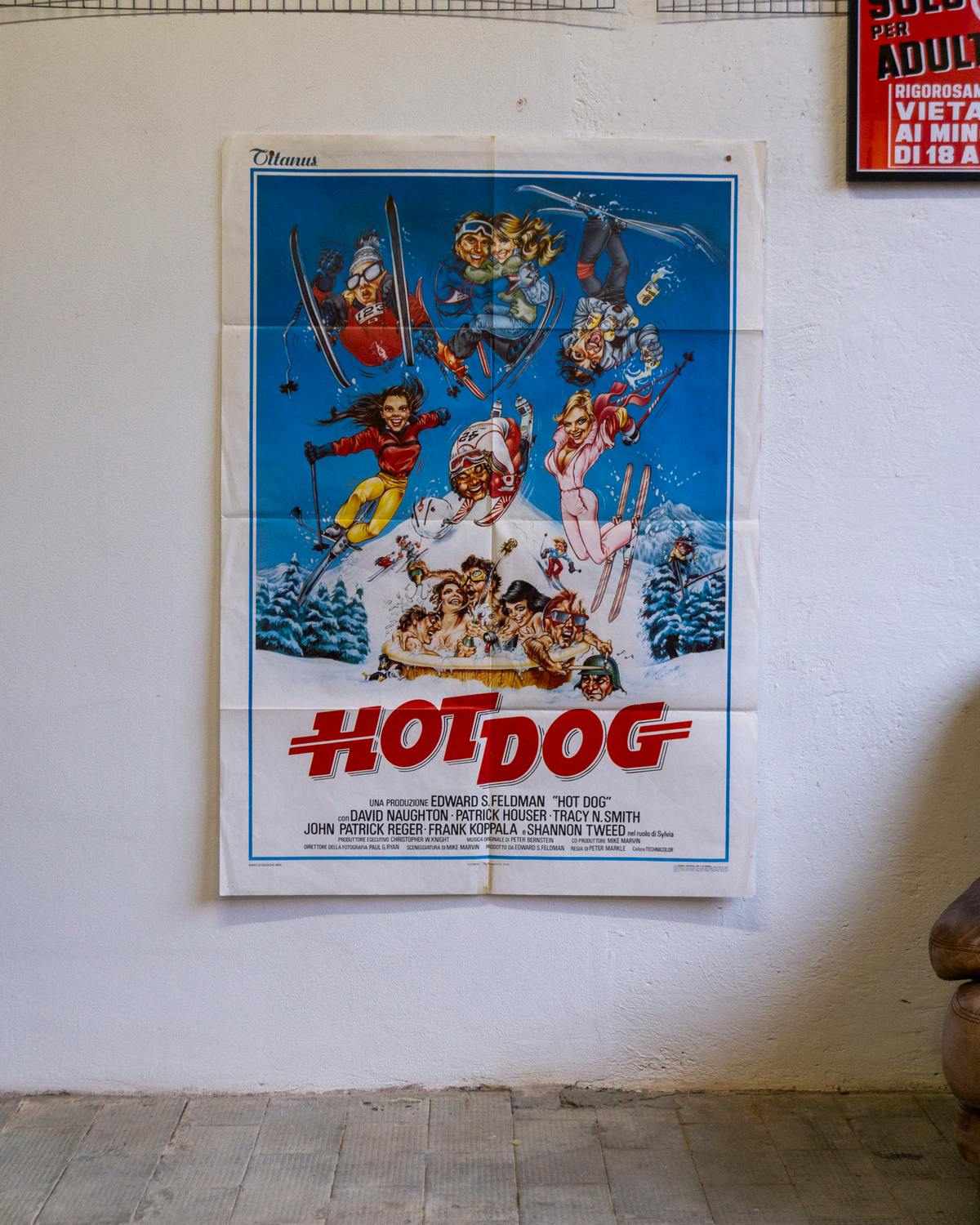 Manifesto Hot Dog
