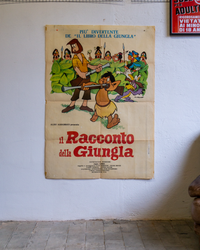 Manifesto Il Racconto Della Giungla
