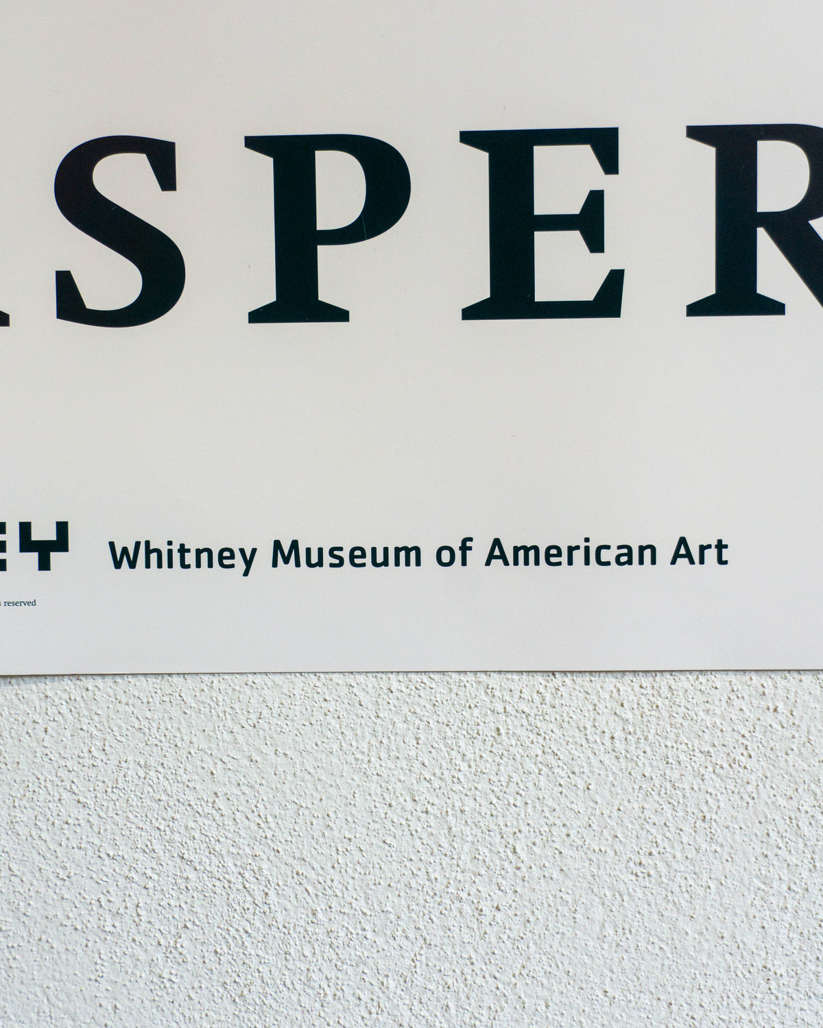 Manifesto Bandiera americana Jasper Johns - Whitney Museum of American Art 2002