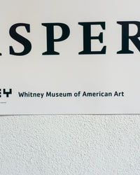 Manifesto Bandiera americana Jasper Johns - Whitney Museum of American Art 2002