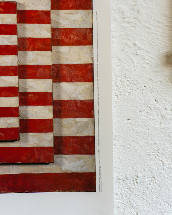 Manifesto Bandiera americana Jasper Johns - Whitney Museum of American Art 2002