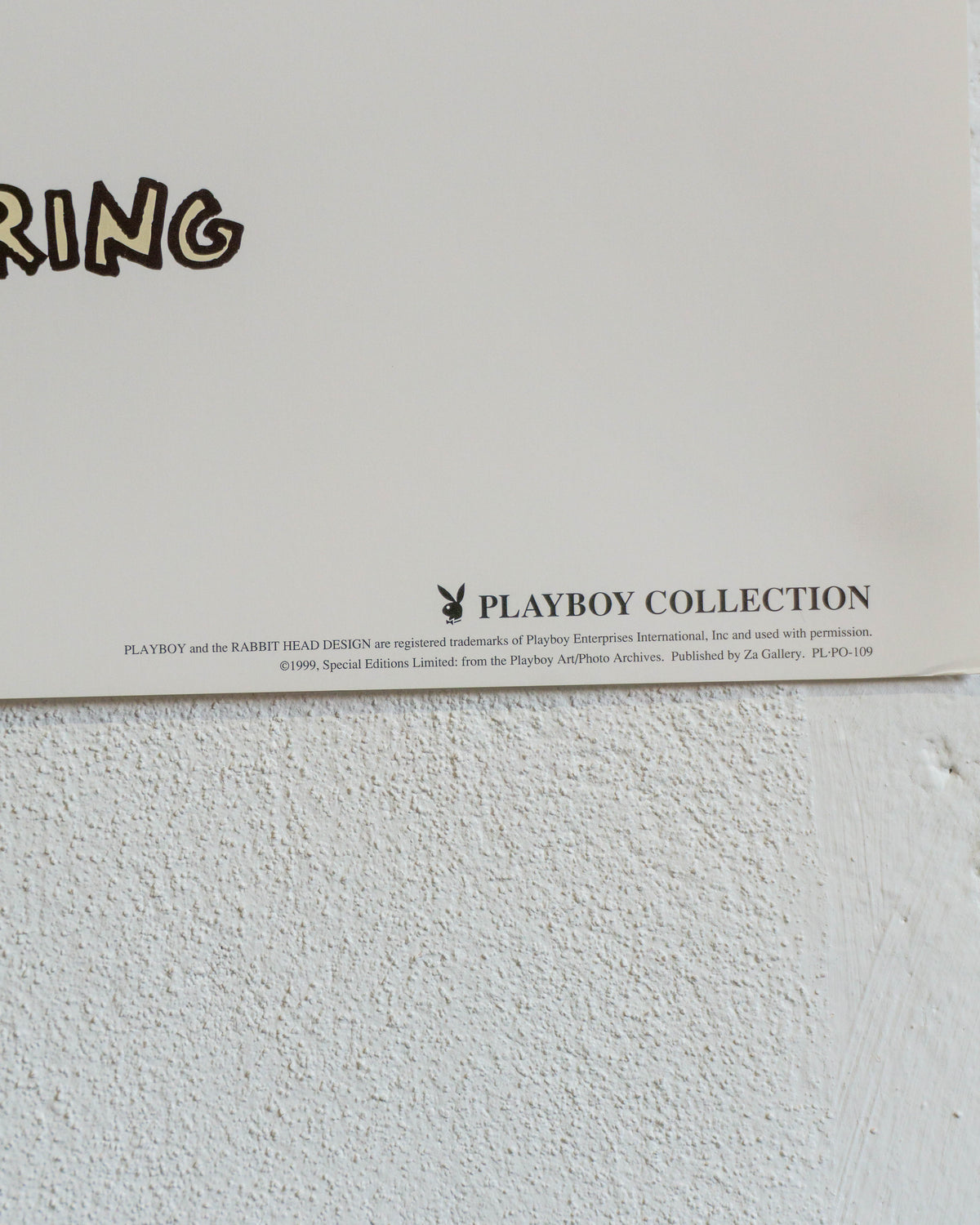 Manifesto Haring Universal Karmic Global Man - Playboy 1999