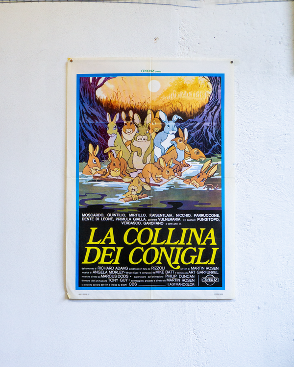 Manifesto La Collina Dei Conigli