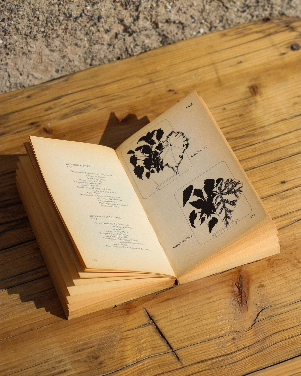 Libro Il verde in casa di Jack Kramer - Prima edizione 1978