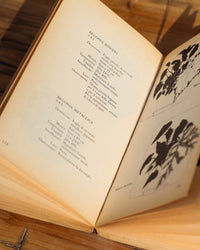 Libro Il verde in casa di Jack Kramer - Prima edizione 1978
