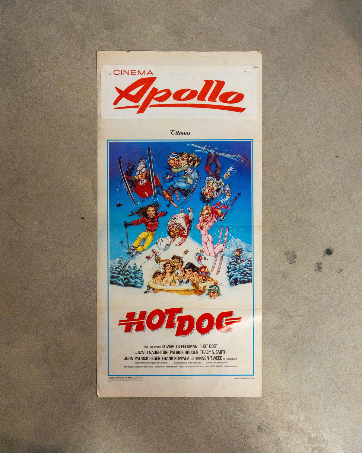 Locandina cinema Hot Dog (1984)