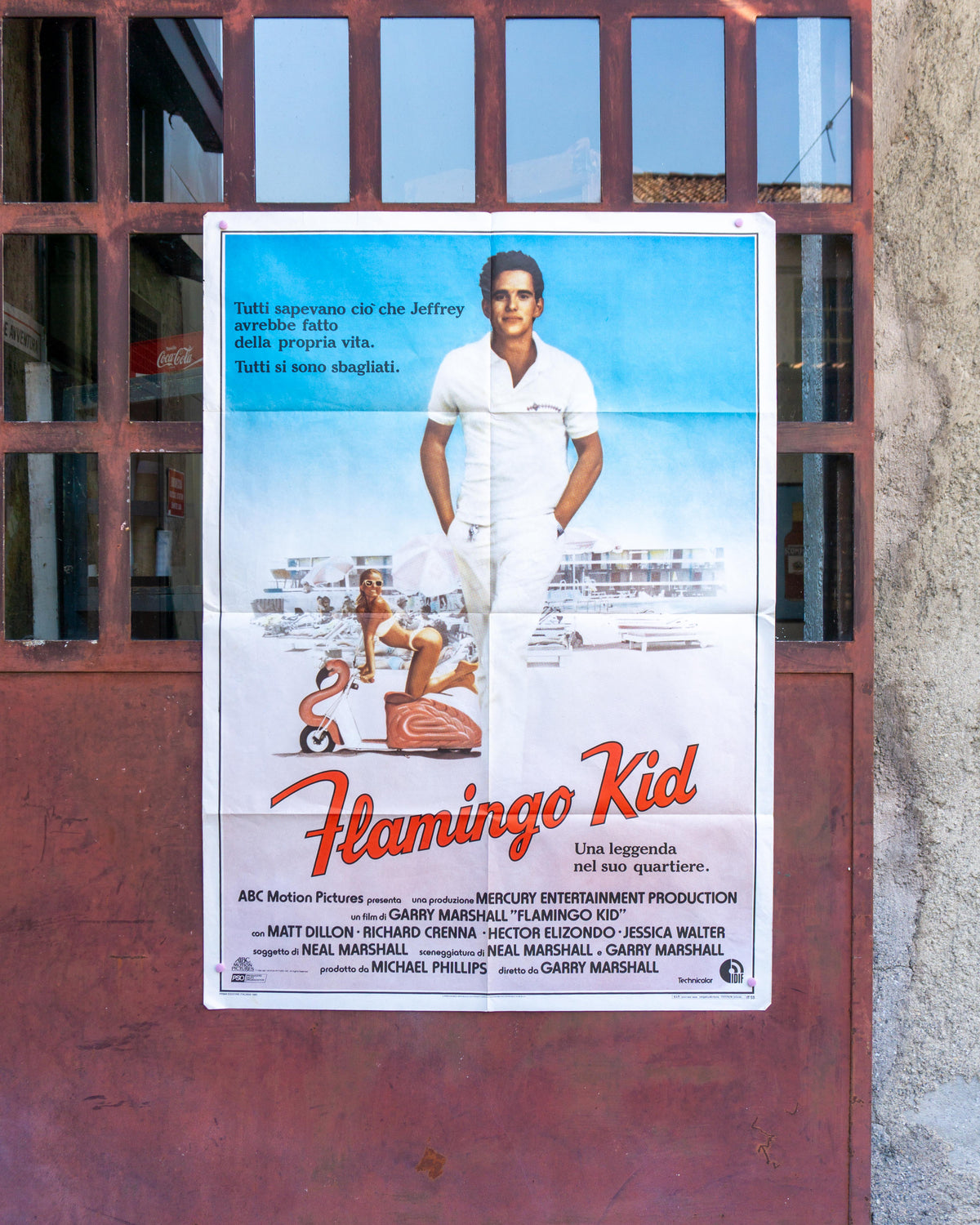 Manifesto Cinema  -  Flamingo Kid
