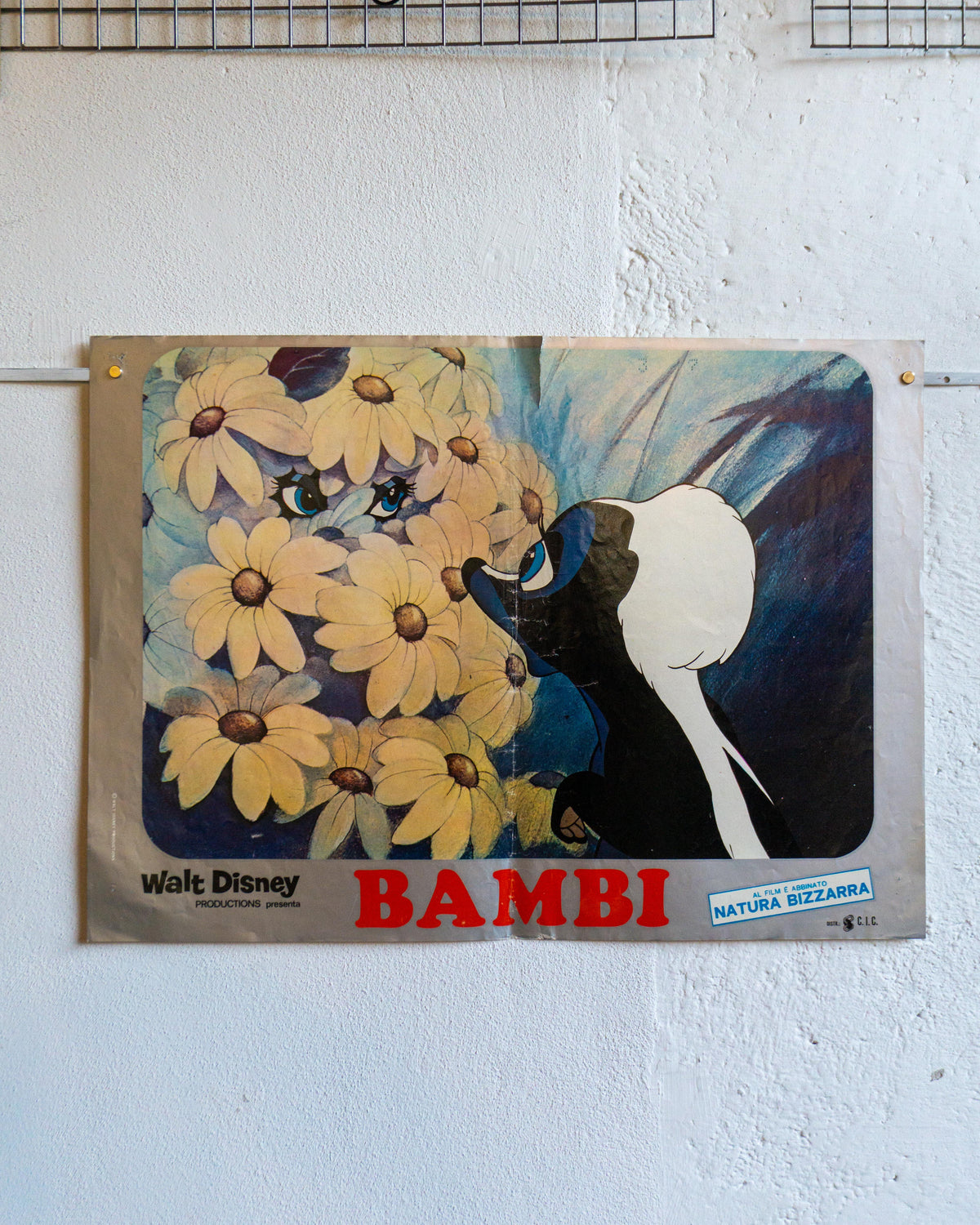 Manifesto Bambi – Fotobusta (1)