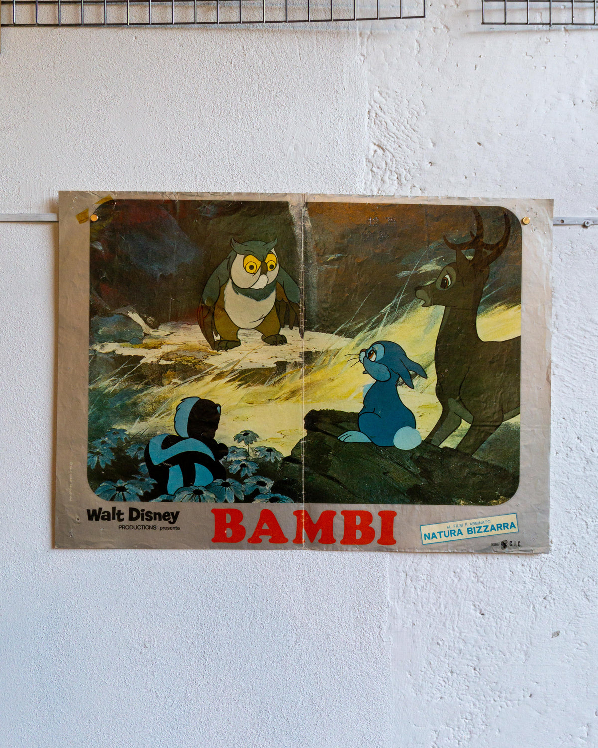 Manifesto Bambi – Fotobusta (2)