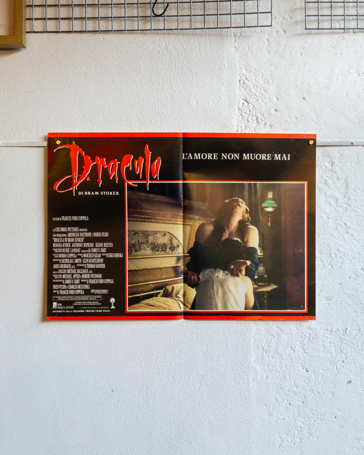 Manifesto Dracula – Fotobusta (2)