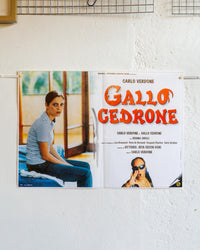 Manifesto Il Gallo Cedrone – Fotobusta (1)