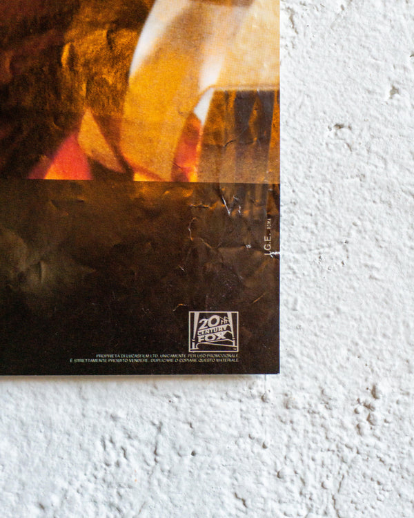 Manifesto Star Wars Episodio Uno – Fotobusta (3)