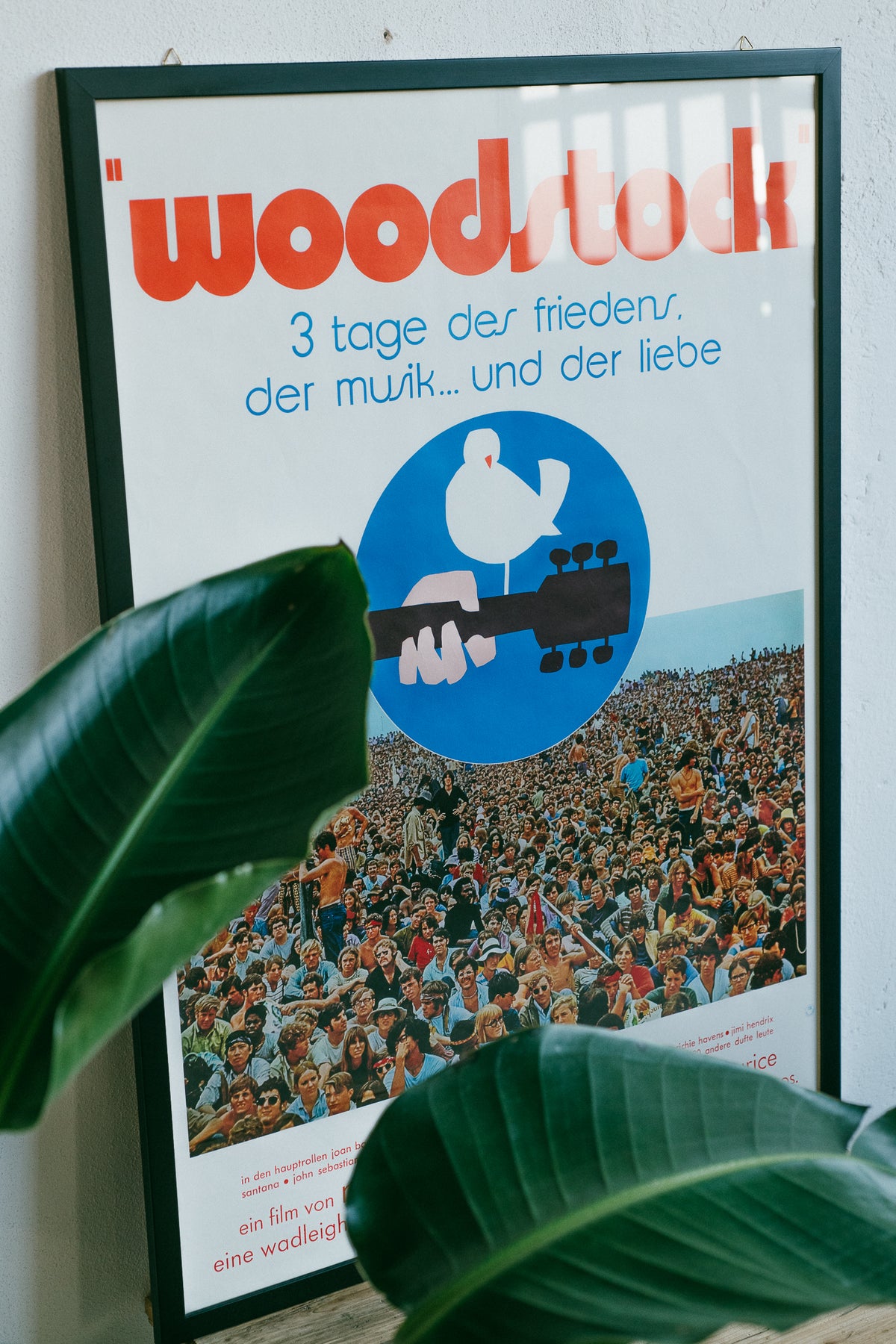 Manifesto Woodstock