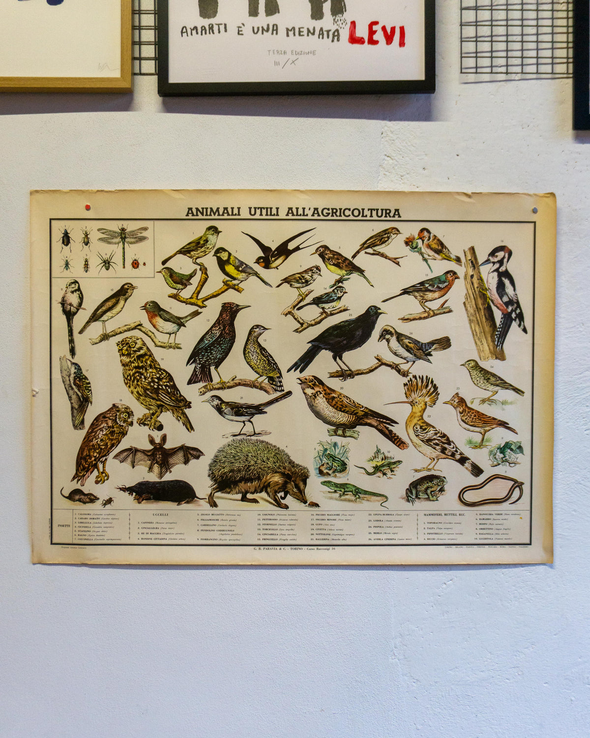 Tavola didattica Paravia “Animali e Agricoltura” – anni ’60