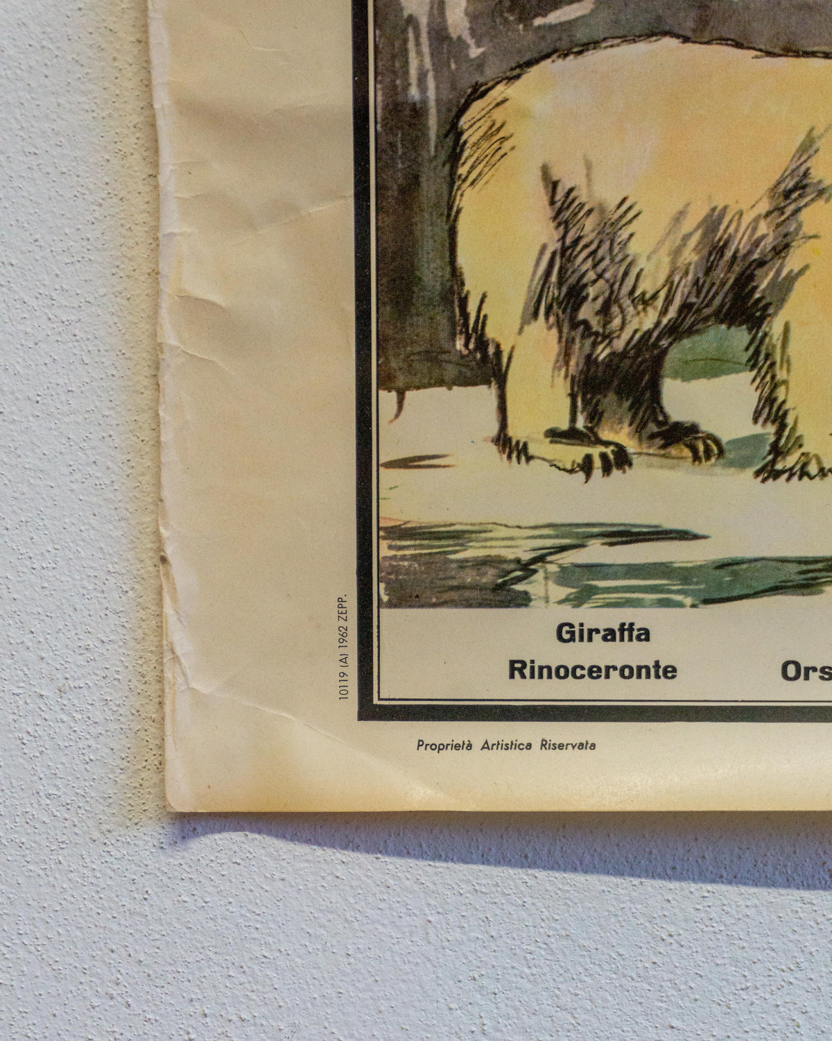 Tavola didattica Paravia “Il Regno Animale” – anni ’60