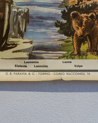 Tavola didattica Paravia “Il Regno Animale” – anni ’60