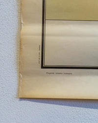 Tavola didattica Paravia “Il Fiore” – tav. 4, anni ’60
