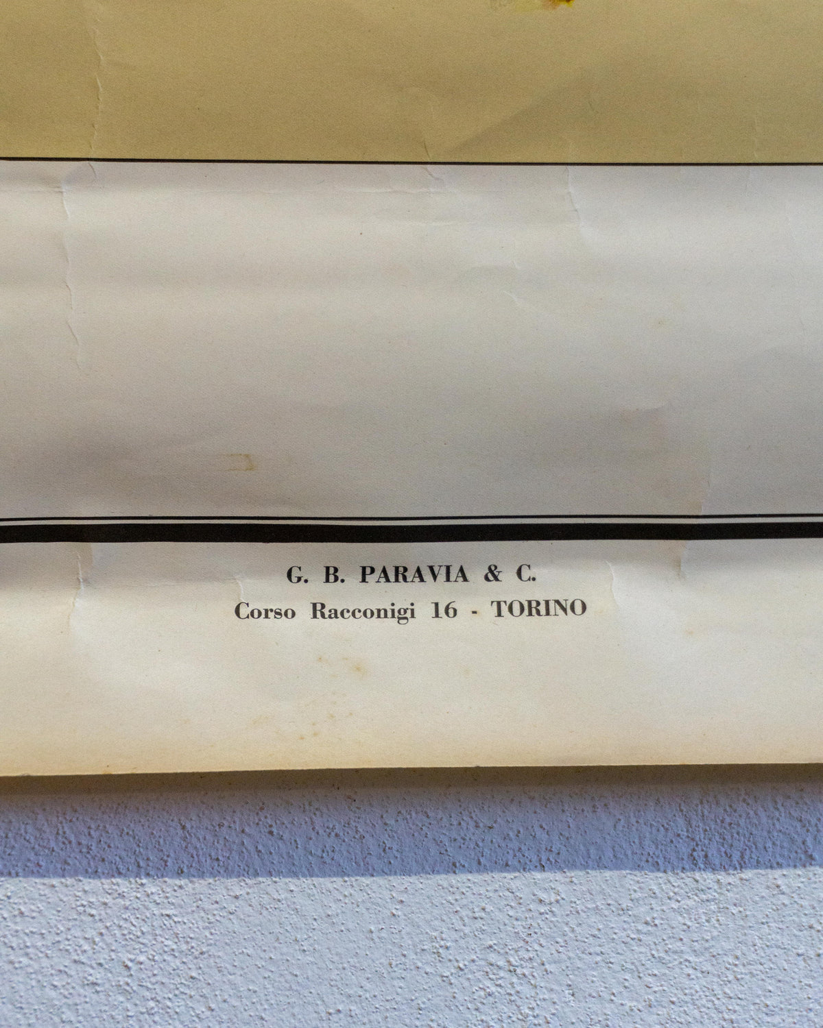 Tavola didattica Paravia “Il Fiore” – tav. 4, anni ’60