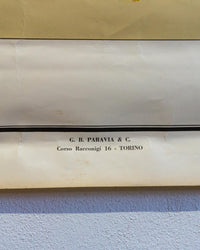 Tavola didattica Paravia “Il Fiore” – tav. 4, anni ’60