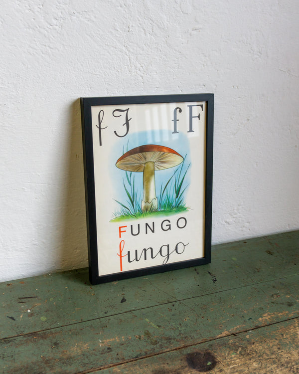 Alfabetiere "Fungo" con cornice - anni ’70