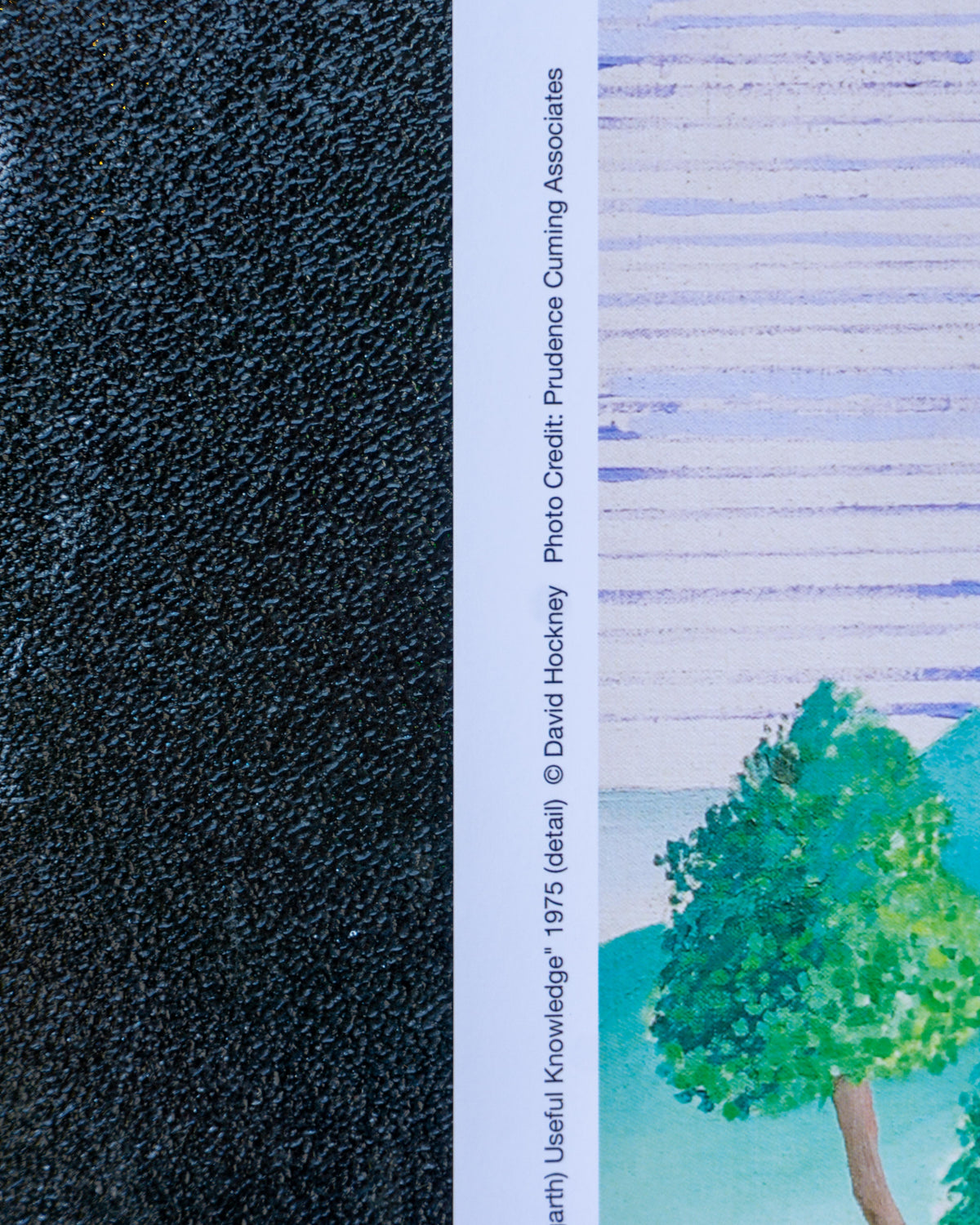 Manifesto Mostra David Hockney – Fondation Louis Vuitton – 2025