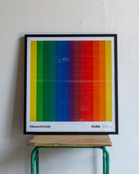 Poster Mostra Ellsworth Kelly - Ed. MoMA 2023