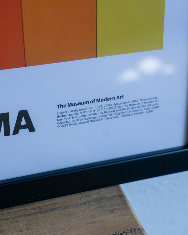 Poster Mostra Ellsworth Kelly - Ed. MoMA 2023