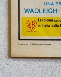 Locandina Woodstock